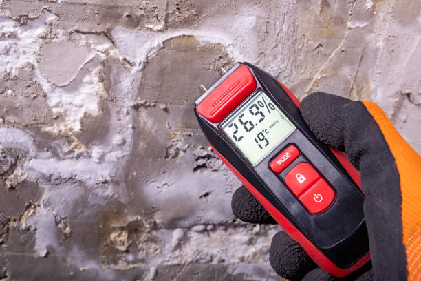 Best Mold Testing  in Guymon, OK