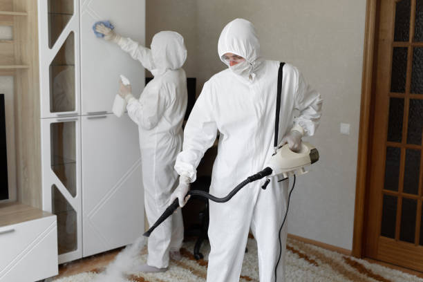 Professional Mold Removal in Guymon, OK