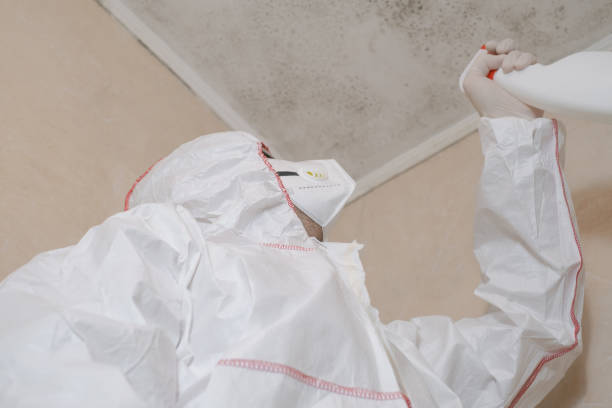 Best Crawl Space Mold Removal  in Guymon, OK